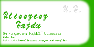 ulisszesz hajdu business card